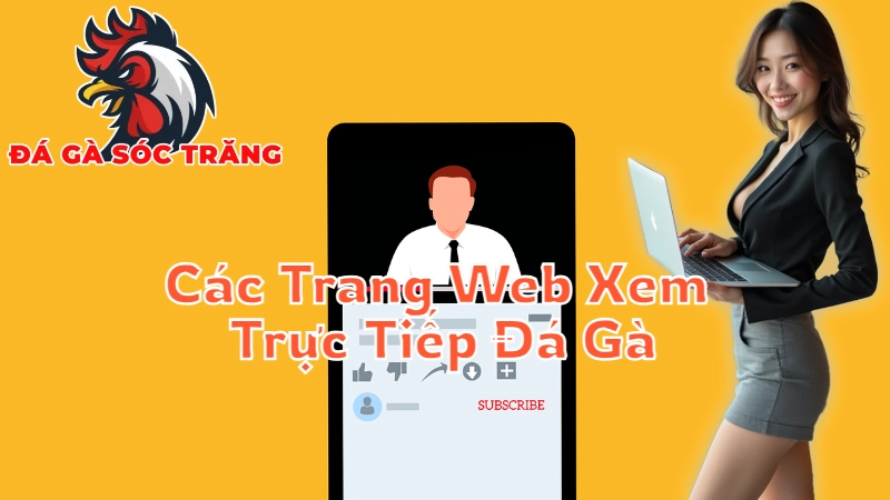 Các Trang Web Xem Trực Tiếp Đá Gà Sóc Trăng Uy Tín Nhất