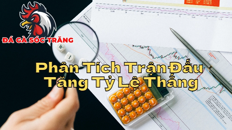 Cách Phân Tích Trận Đấu Để Tăng Tỷ Lệ Thắng Khi Xem Trực Tiếp