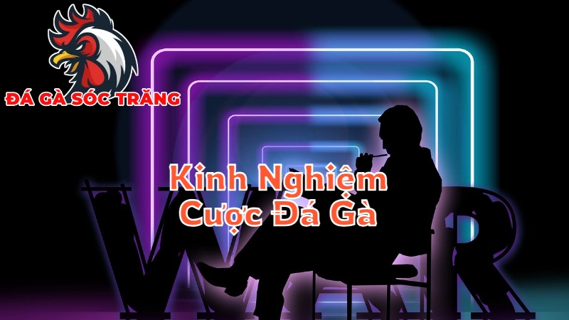 Kinh Nghiệm Cá Cược Đá Gà Từ Những Cao Thủ Sóc Trăng