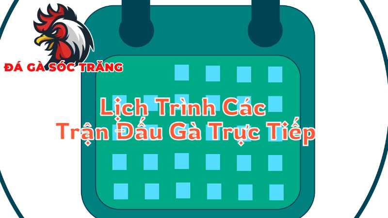 Lịch Trình Các Trận Đấu Gà Trực Tiếp Tại Sóc Trăng