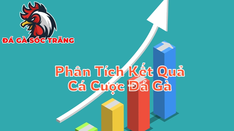 Phân Tích Kết Quả Cá Cược Đá Gà Để Tăng Tỷ Lệ Thắng 2024