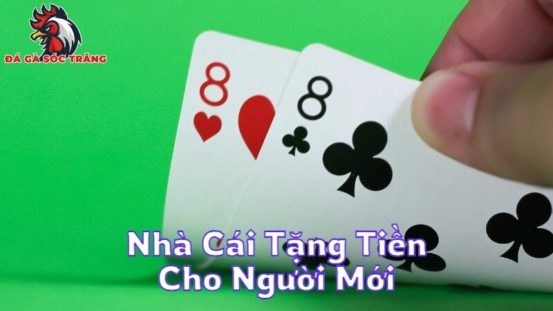 Danh Sách Nhà Cái Tặng Tiền Cho Người Mới