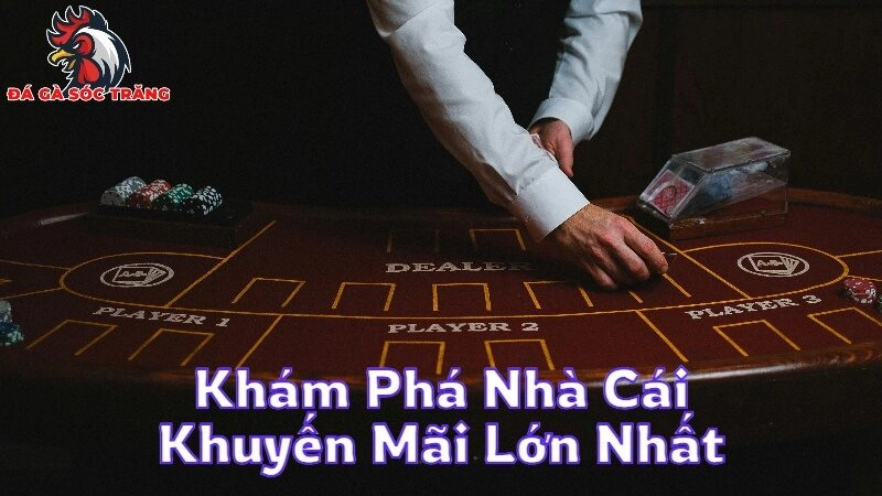 Khám Phá Nhà Cái Khuyến Mãi Lớn Nhất