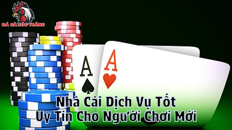 Nhà Cái Dịch Vụ Tốt Và Uy Tín Cho Người Chơi Mới