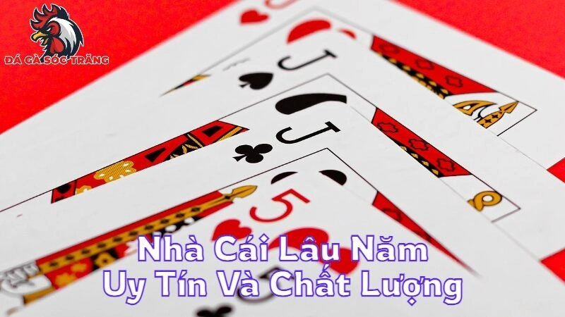 Nhà Cái Lâu Năm Uy Tín Và Chất Lượng