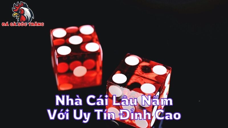 Nhà Cái Lâu Năm Với Uy Tín Đỉnh Cao