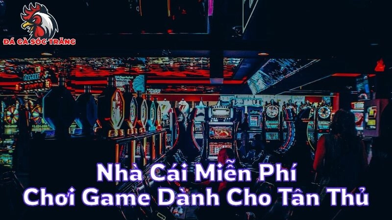 Nhà Cái Miễn Phí Chơi Game Dành Cho Tân Thủ