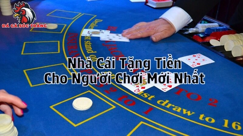 Nhà Cái Tặng Tiền Cho Người Chơi Mới Nhất