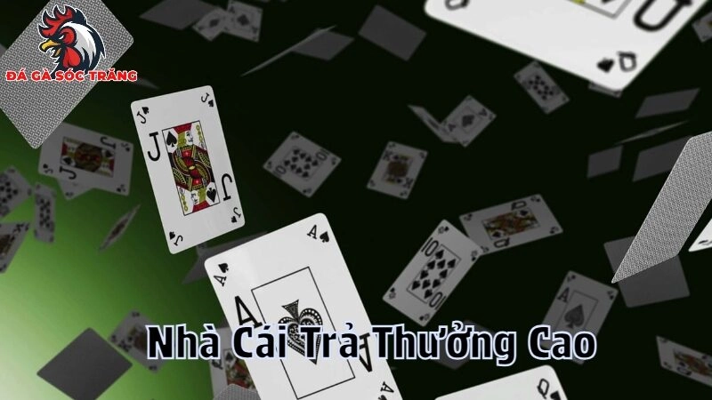 Những Nhà Cái Trả Thưởng Cao Hiện Nay