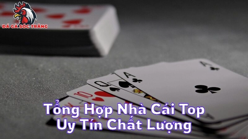 Tổng Hợp Nhà Cái Top Uy Tín Chất Lượng