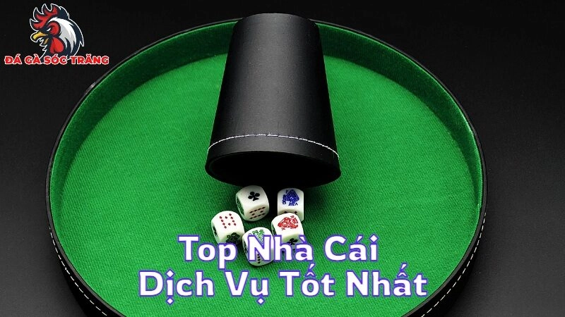 Top Nhà Cái Dịch Vụ Tốt Nhất Hiện Nay